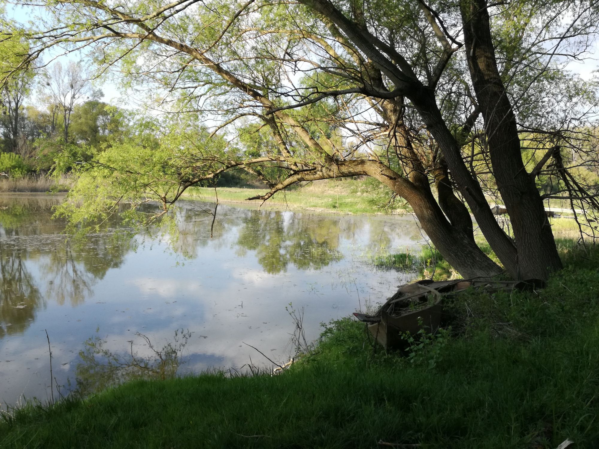 Nationalpark Donauauen