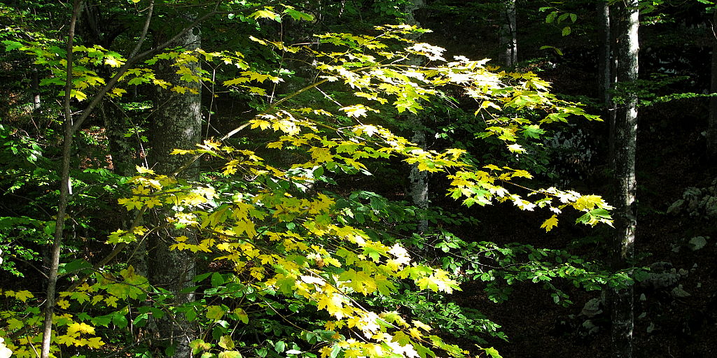 Nationalpark Plitvice