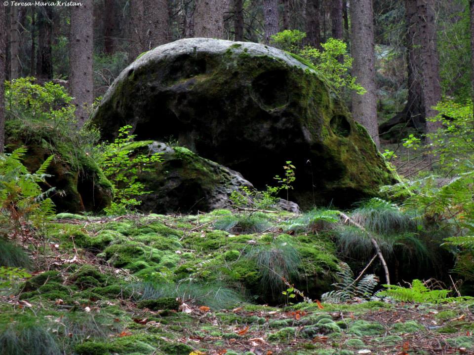 Nationalpark Sächsische Schweiz