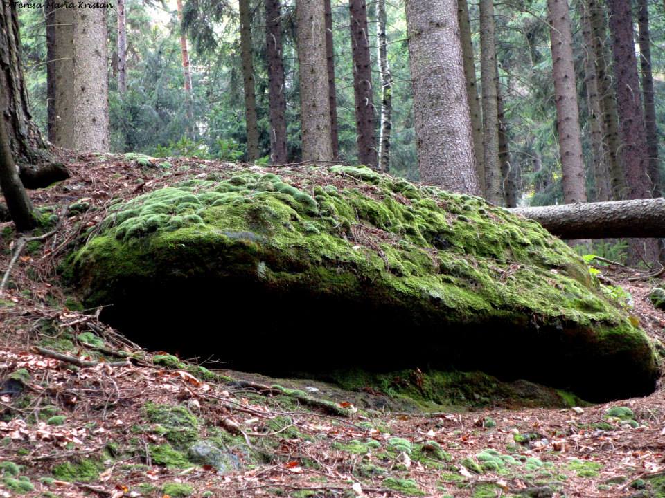 Nationalpark Sächsische Schweiz