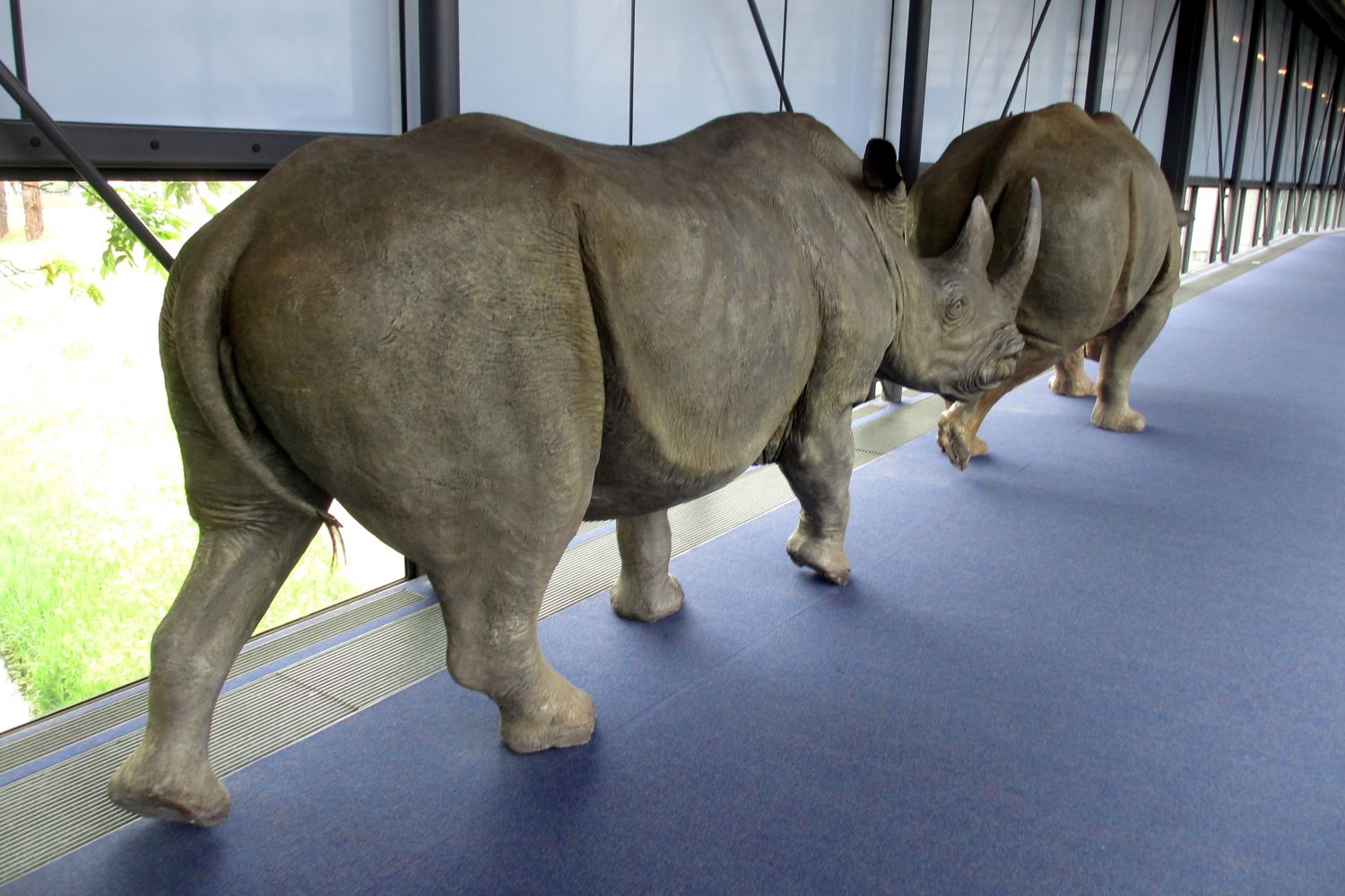 Naturalis Leiden