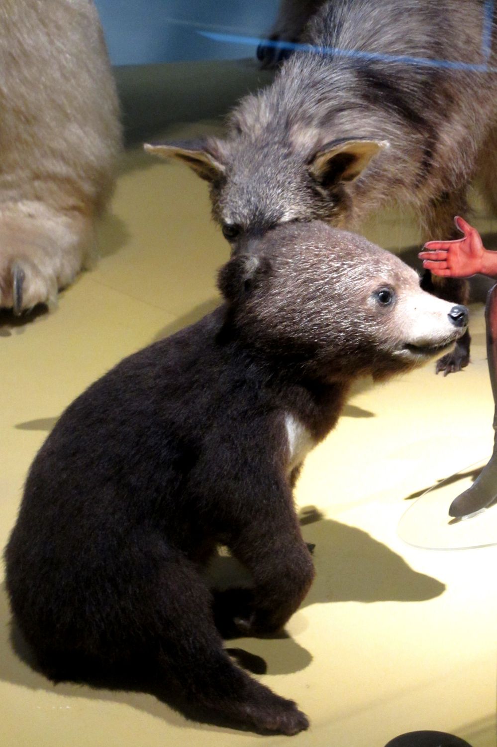 Naturalis Leiden