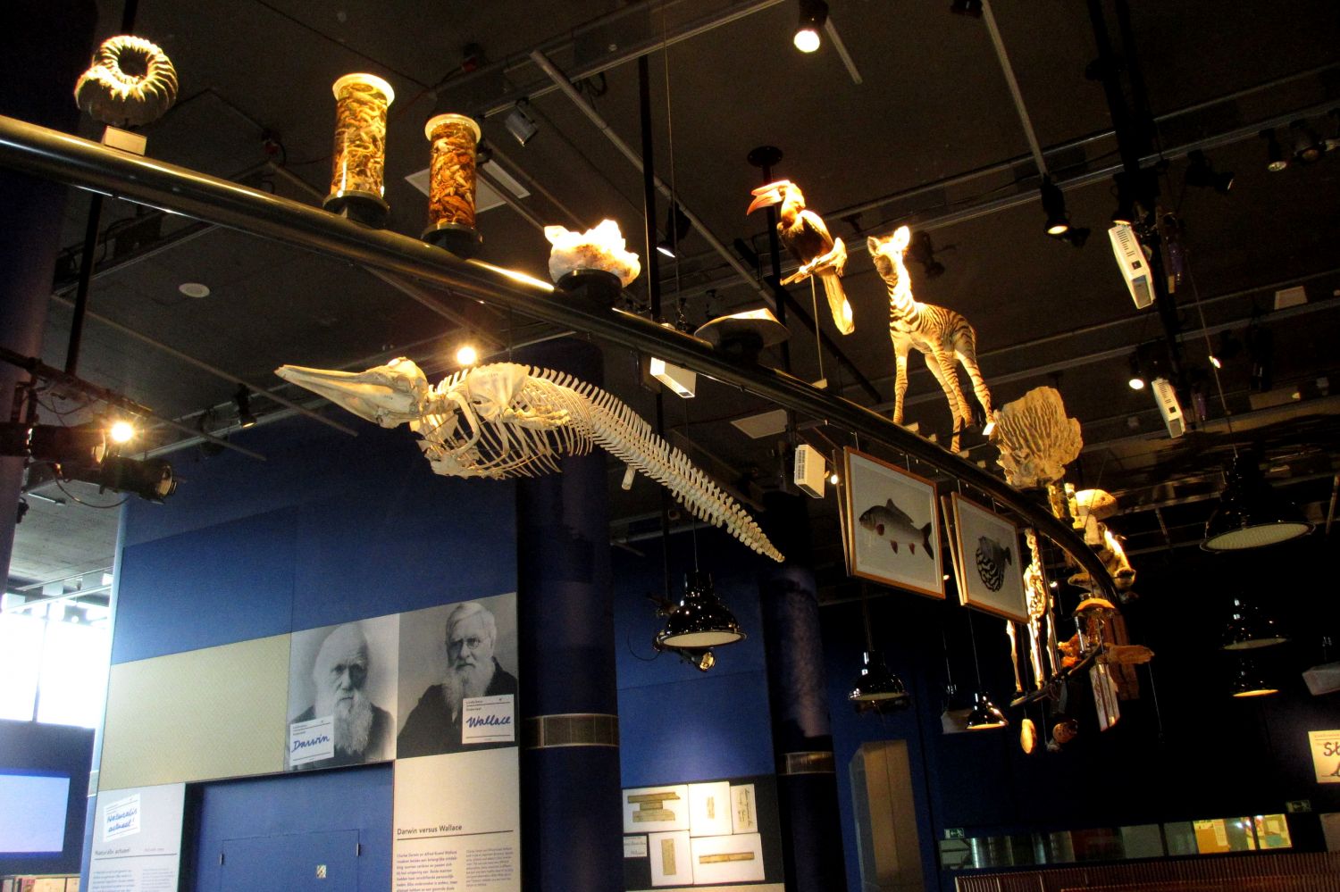 Naturalis Leiden