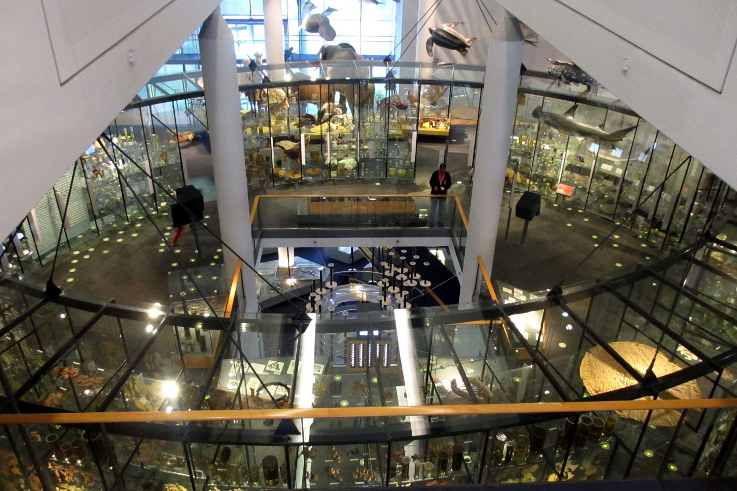 Naturalis Leiden