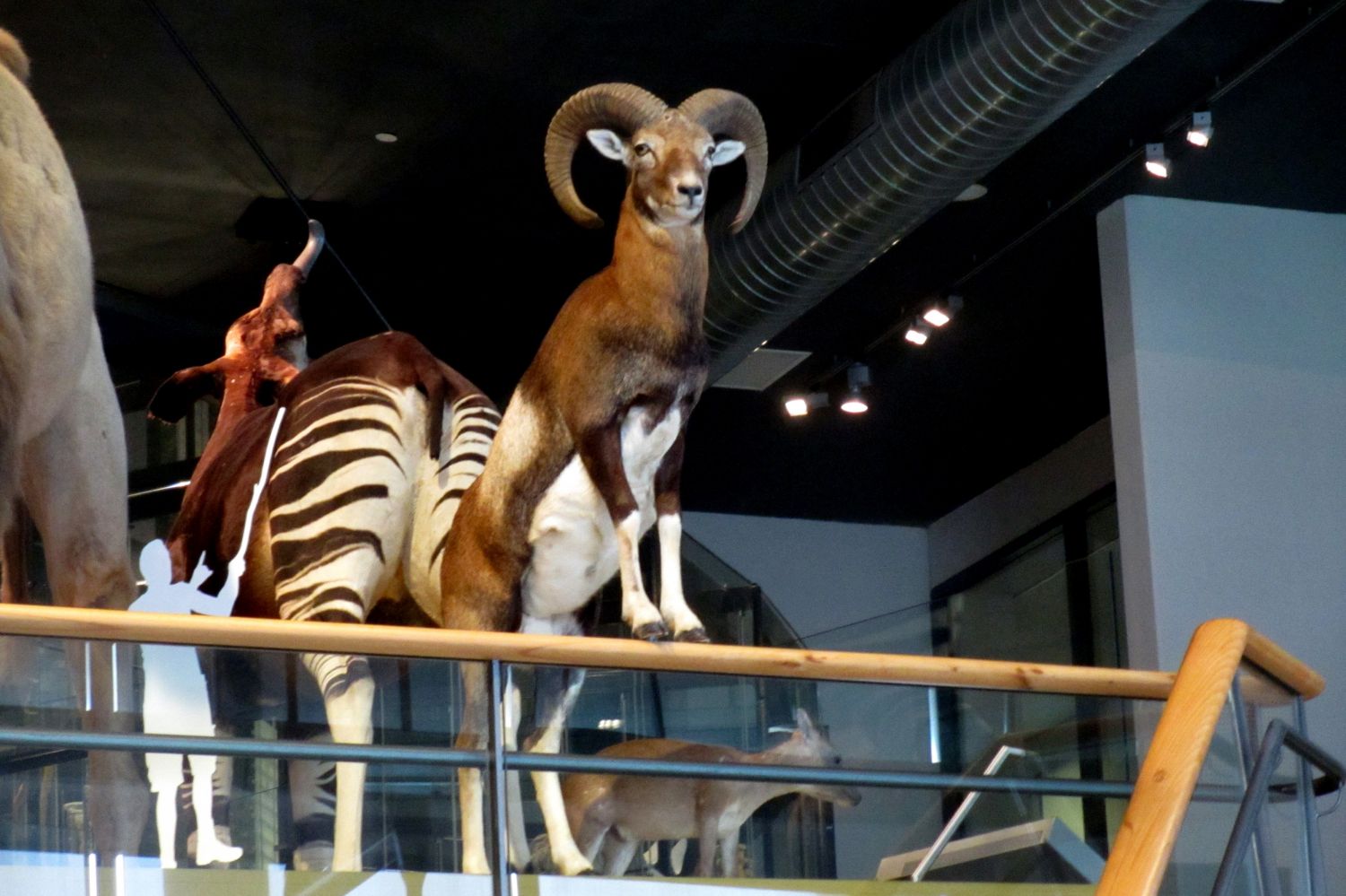 Naturalis Leiden