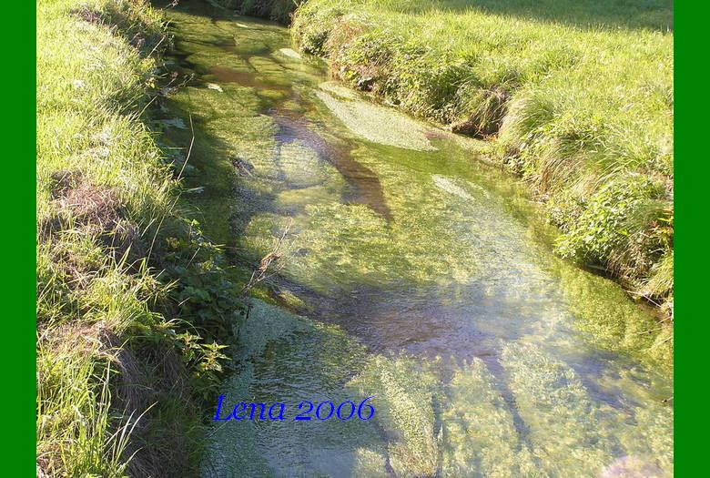 Naturbelassener Bachlauf