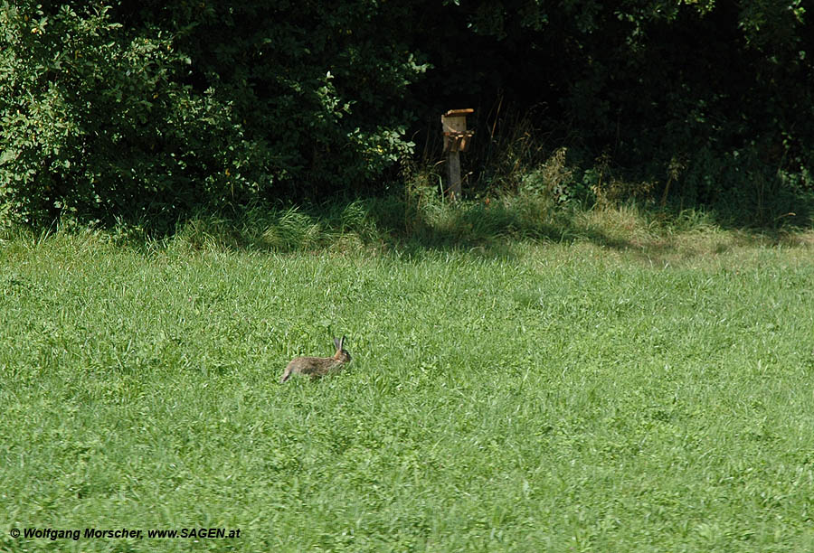 Naturerlebnis Haager Lies