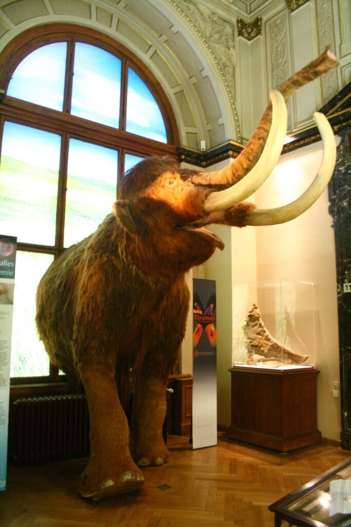 Naturhistorisches Museum Wien