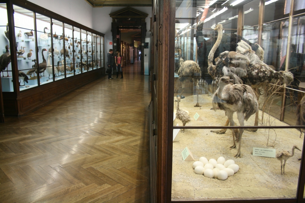 Naturhistorisches Museum Wien