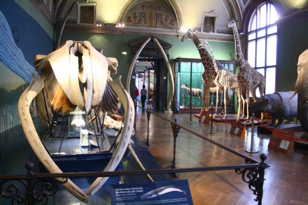 Naturhistorisches Museum Wien