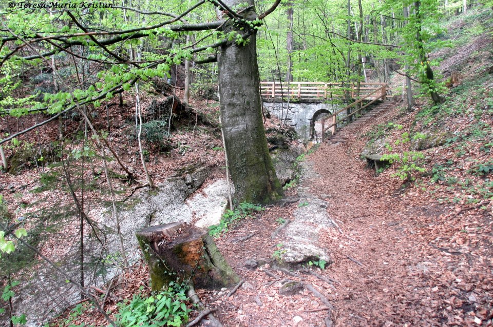 Naturpark Aigen, Salzburg