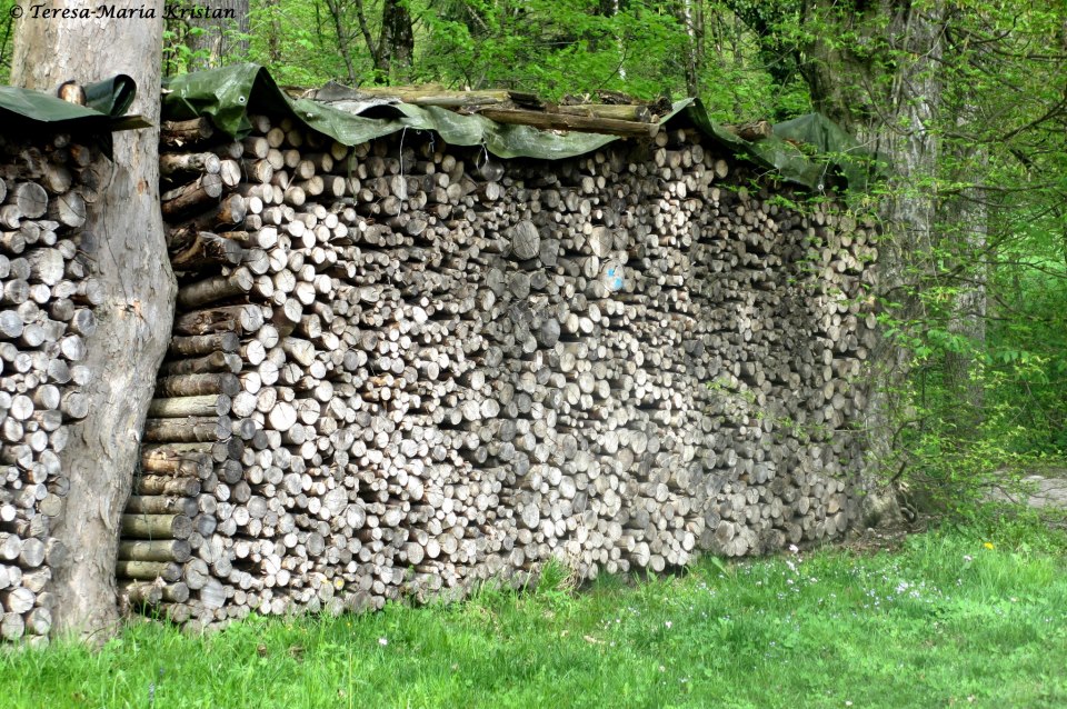 Naturpark Aigen, Salzburg