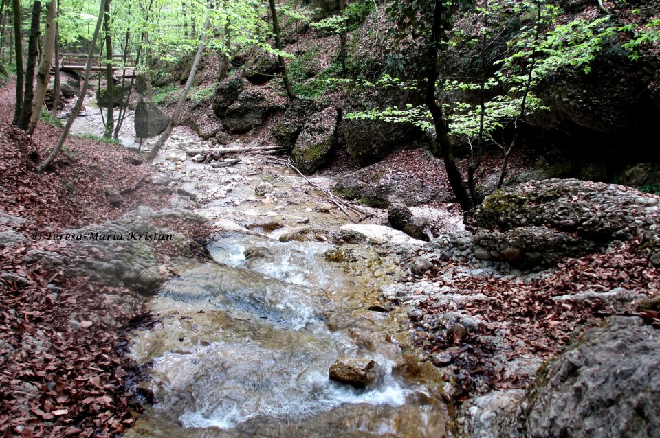 Naturpark Aigen, Salzburg