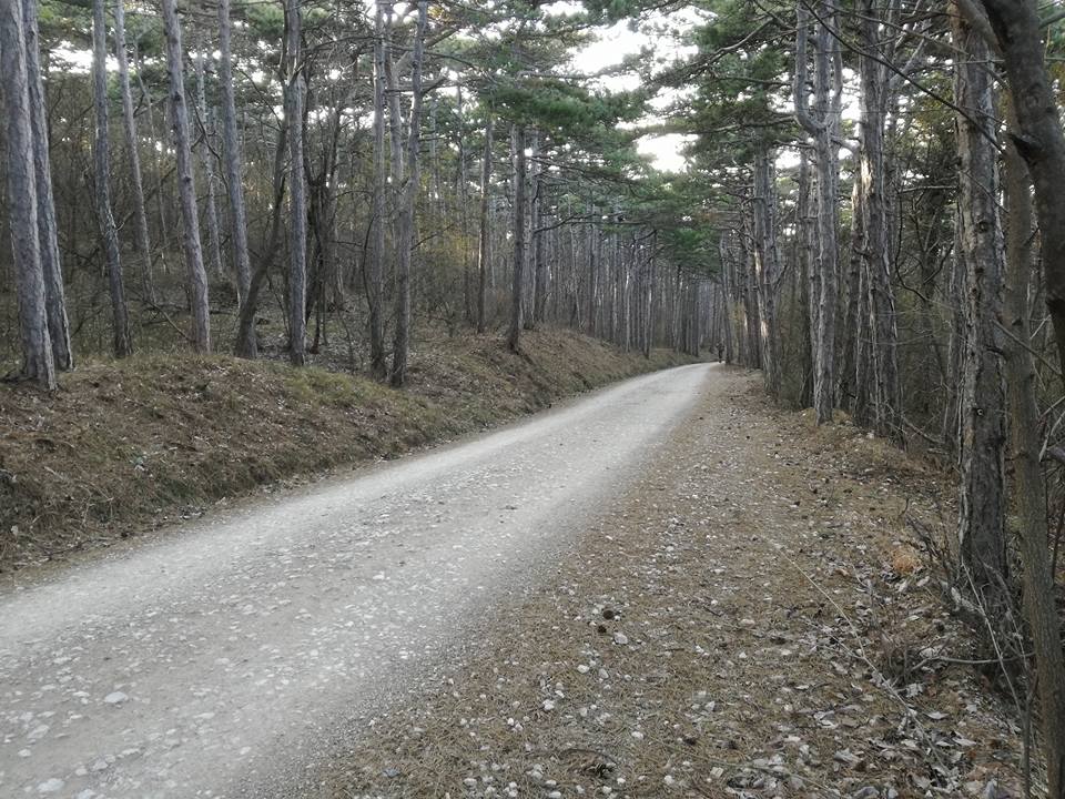 Naturpark Föhrenberge