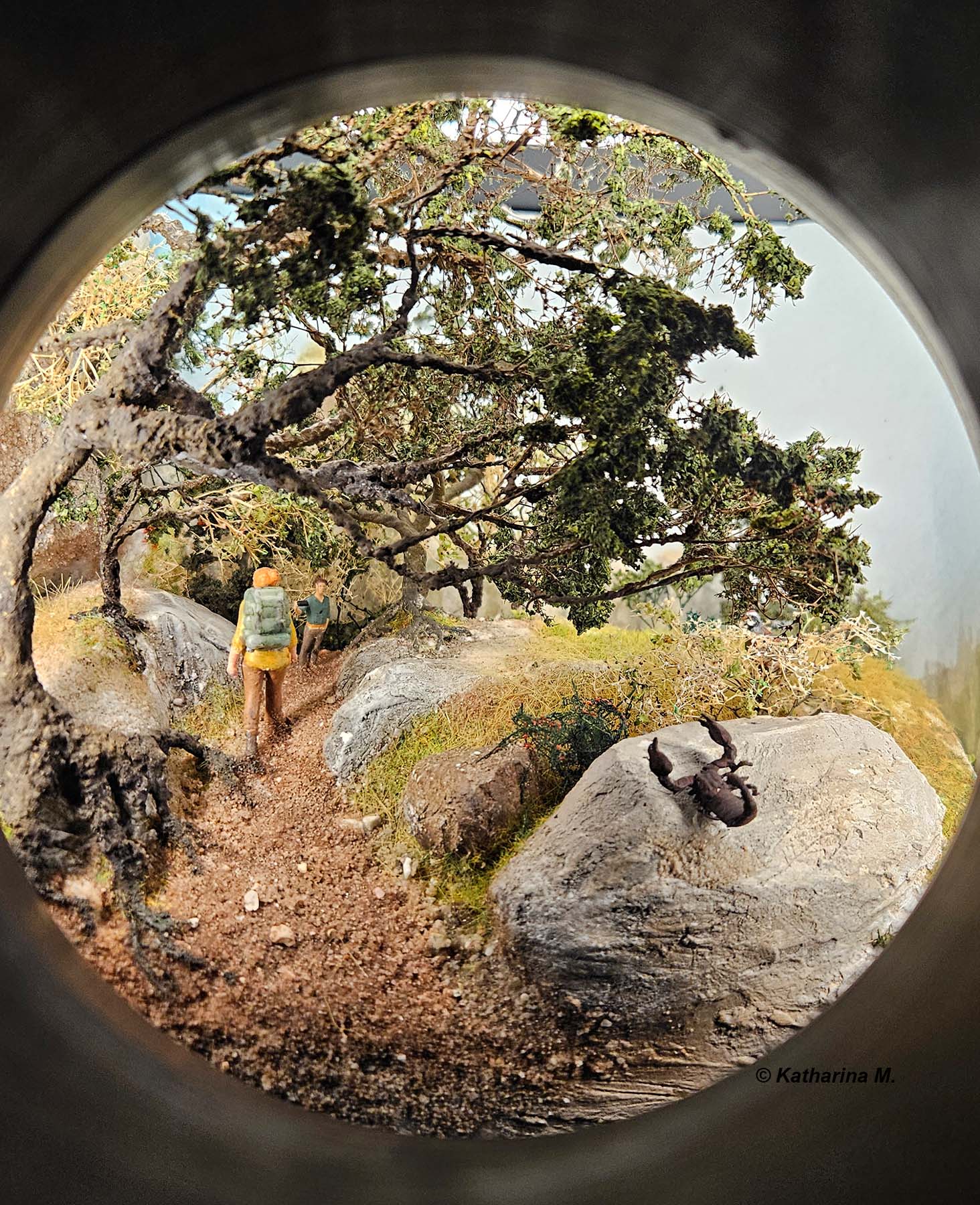 Naturparkhaus Texelgruppe Miniatur Wald