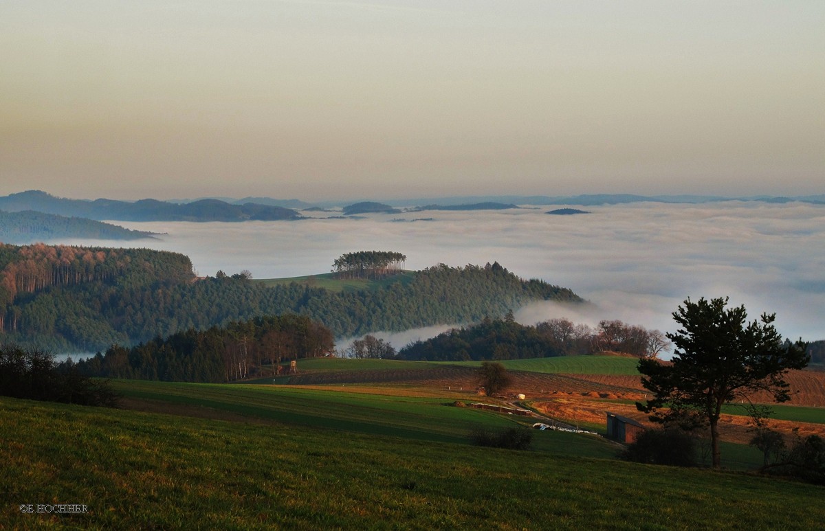 Nebel überm Donautal