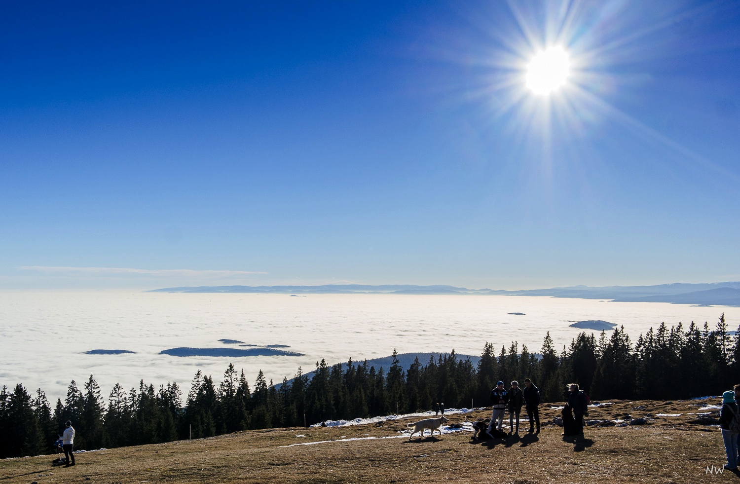 Nebel im Grazer Becken