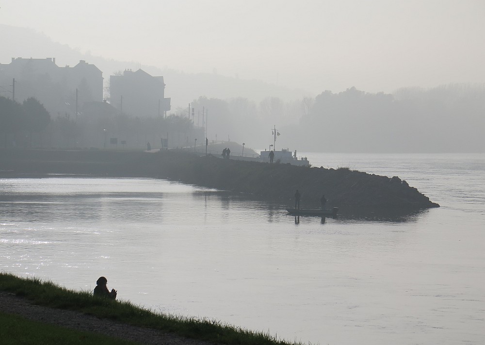 Nebel im Hafen von Hainburg