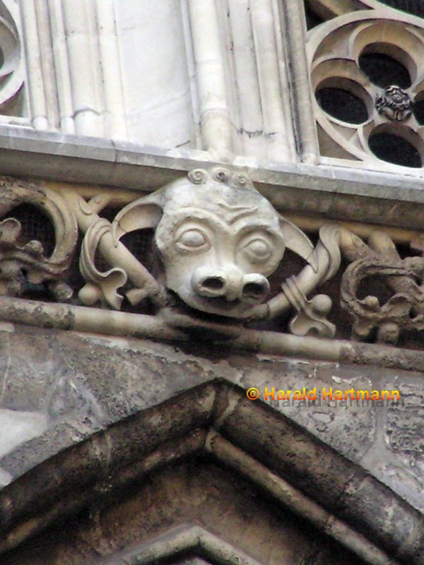 Neidkopf am Stephansdom