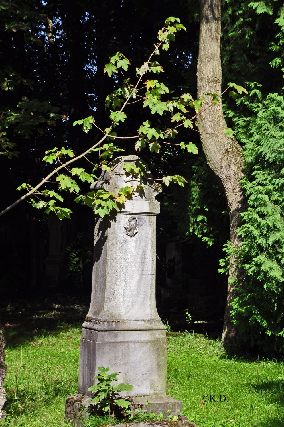 'Neuer' Jüdischer Friedhof in St.Pölten