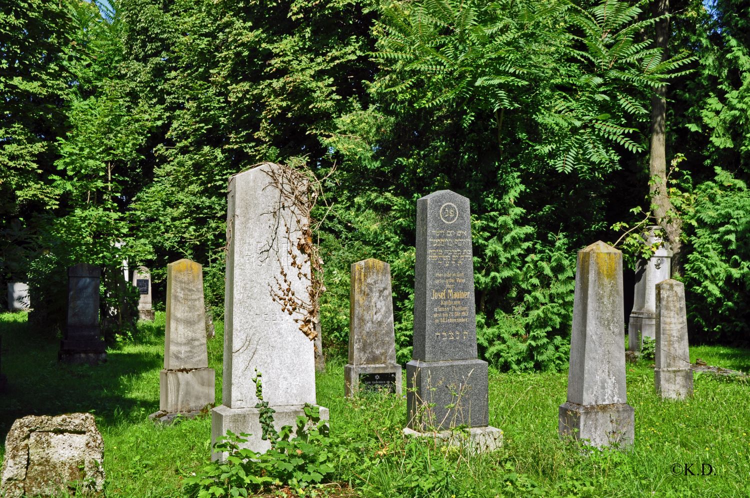 'Neuer' Jüdischer Friedhof in St.Pölten