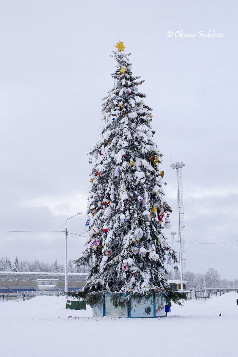 Neujahrbaum 2015