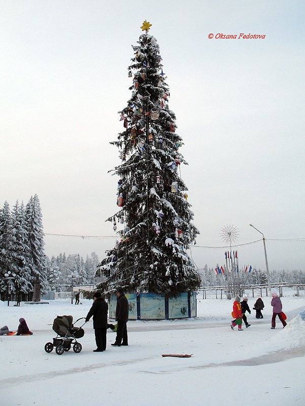 Neujahrbaum