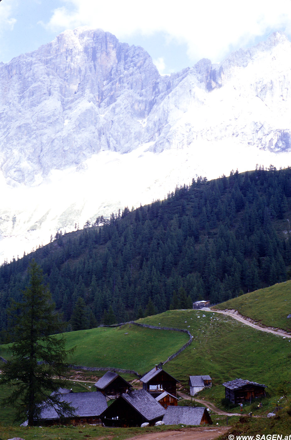 Neustattalm mit Blick auf die Dachstein-Südwand