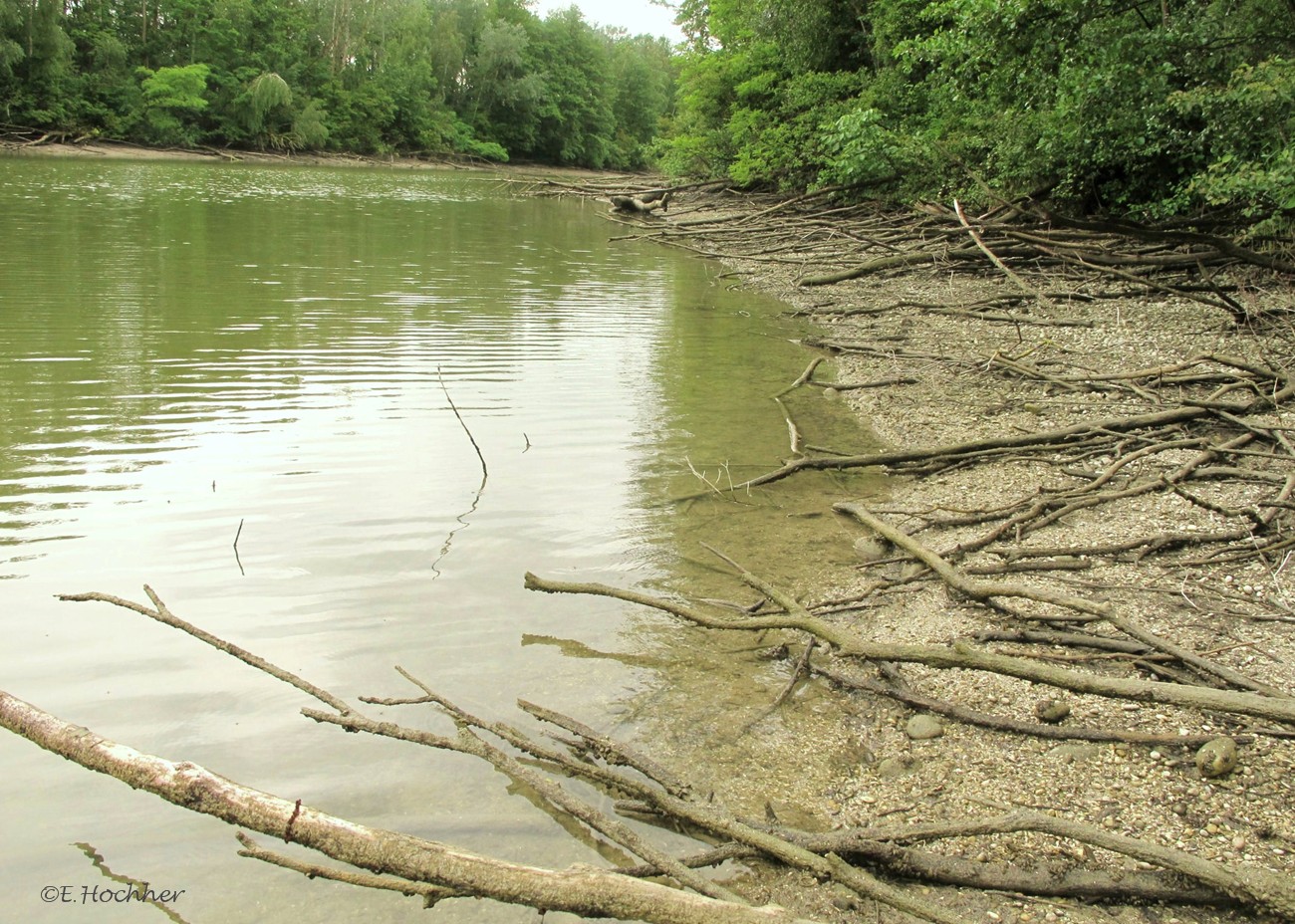 Nieder- weil Hochwasser