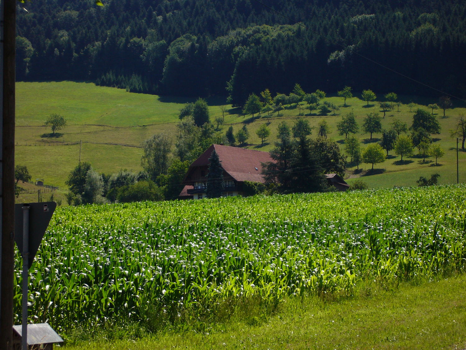 Oberer_Eichhof_in_Welschensteinach_16_07_06