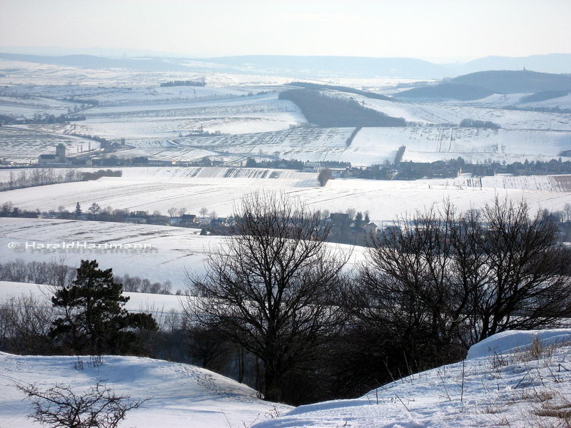 Oberleiser Berg