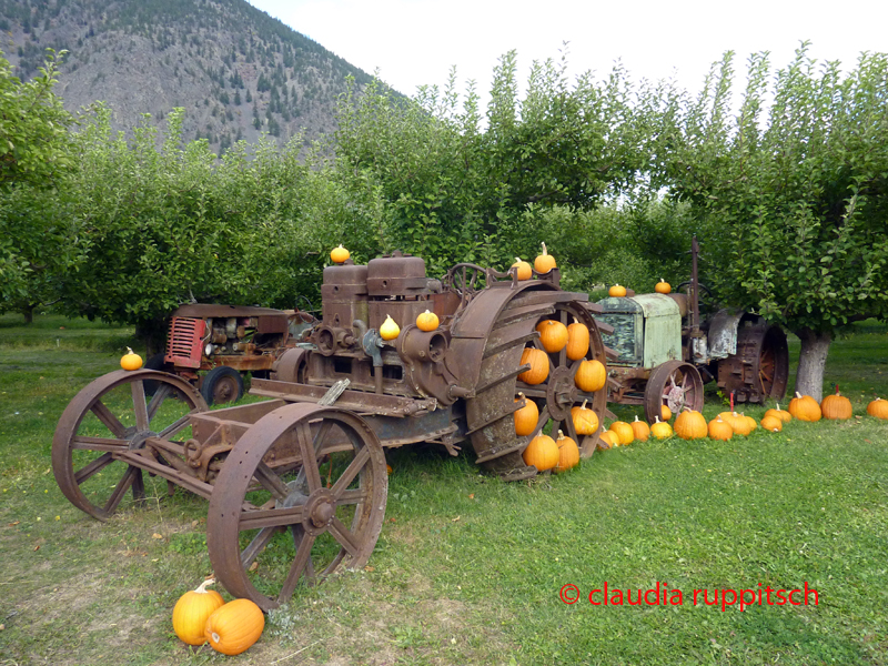 Obstdirektverkauf im Similkameen Valley, Kanada