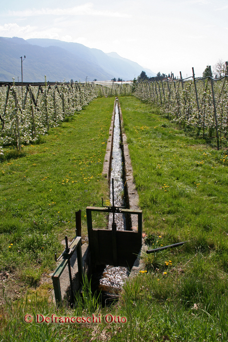 Offener Waal in Mitterlana (Lana)