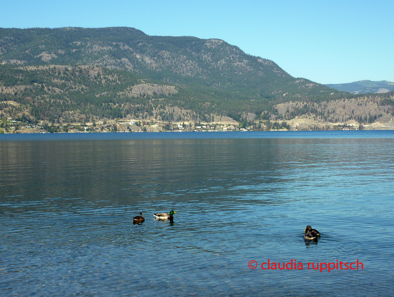 Okanagan Lake, BC, Kanada