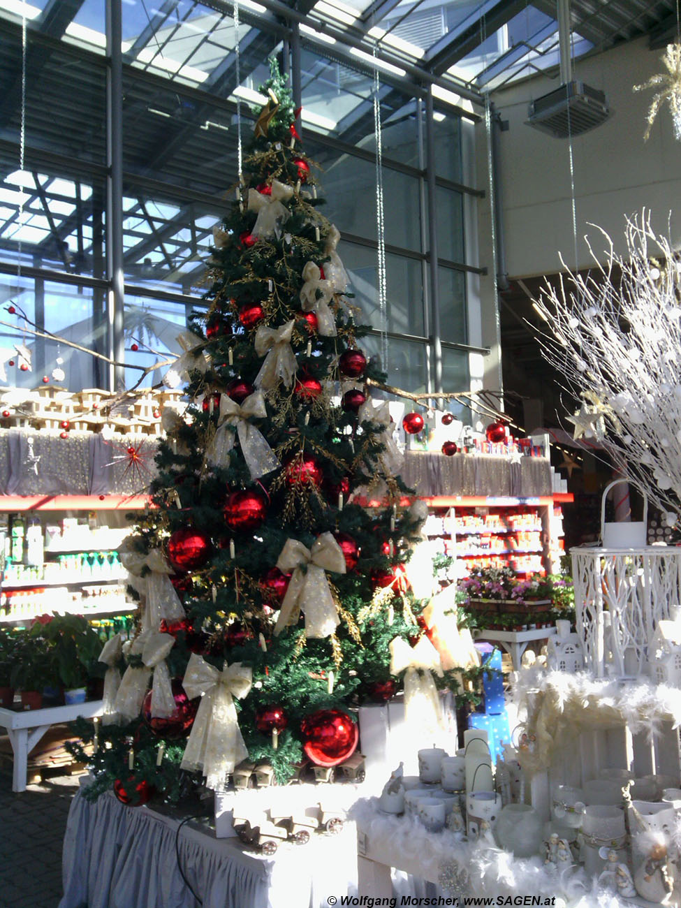 Oktober-Weihnachtsbaum