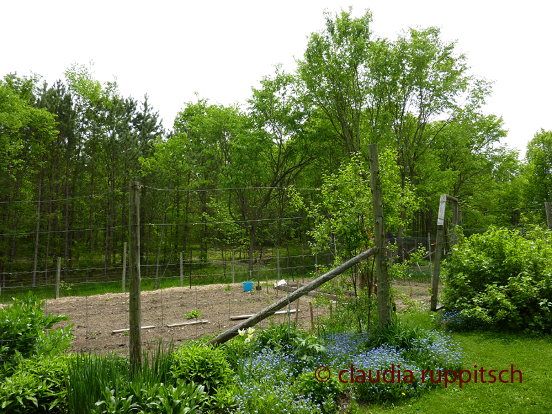 Organic Farming in Ontario