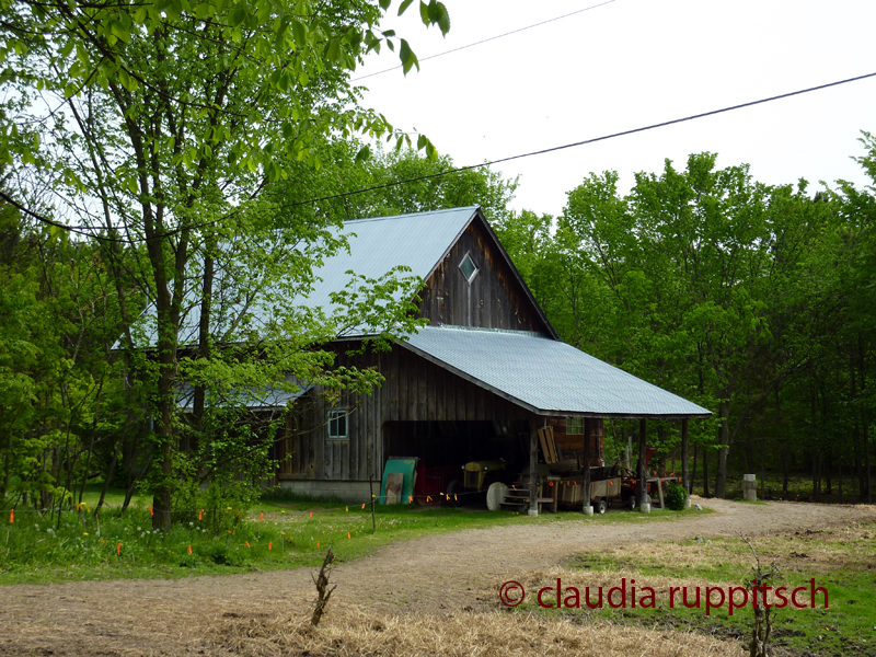 Organic Farming in Ontario