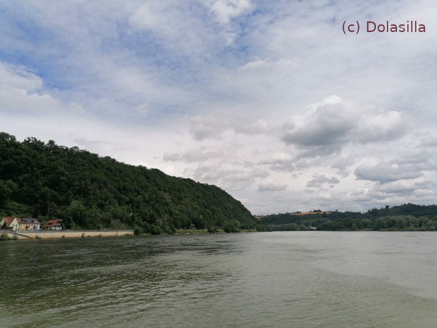 Ortspitz in Passau: Ilz. Donau und Inn