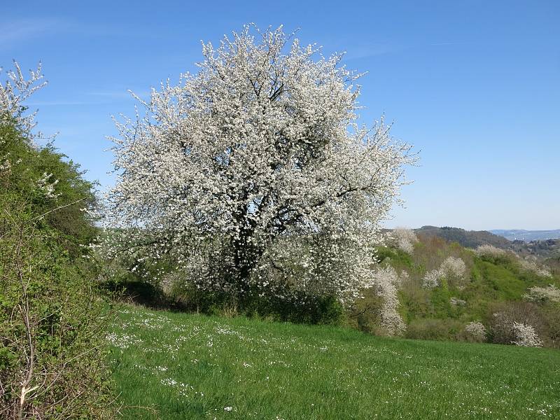 Ostermontagspaziergang