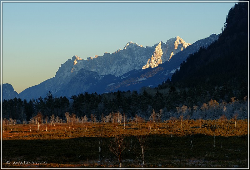 Pürgschachener Moor