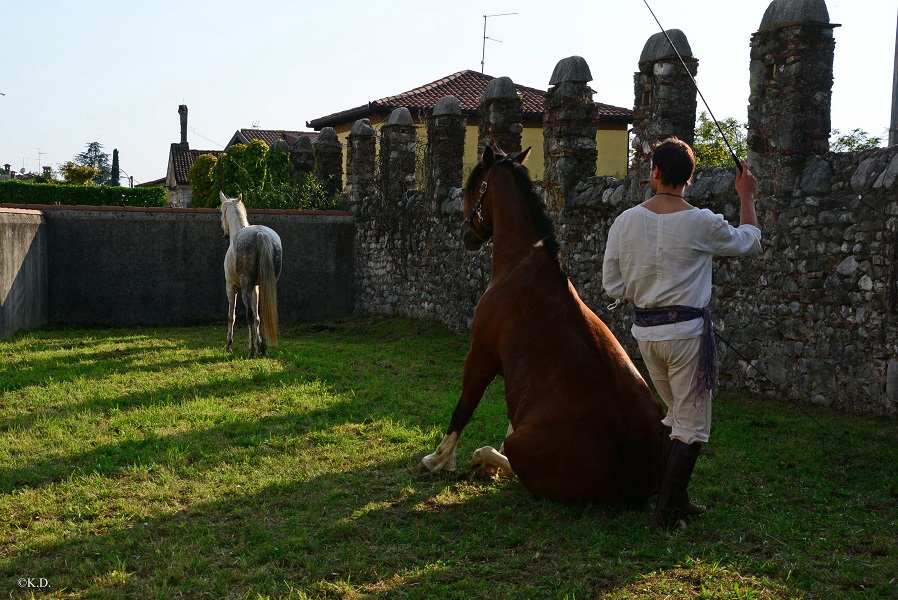 Palio di San Donato a Cividale (It.)