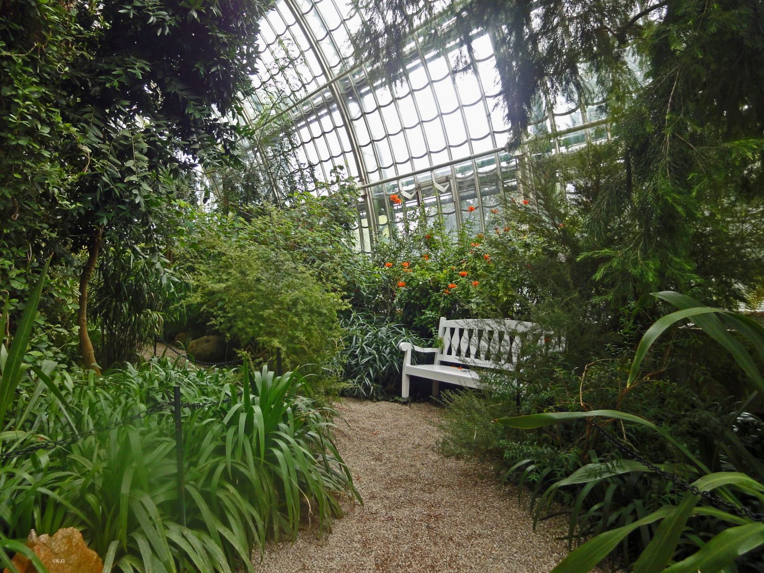 Palmenhaus Wien