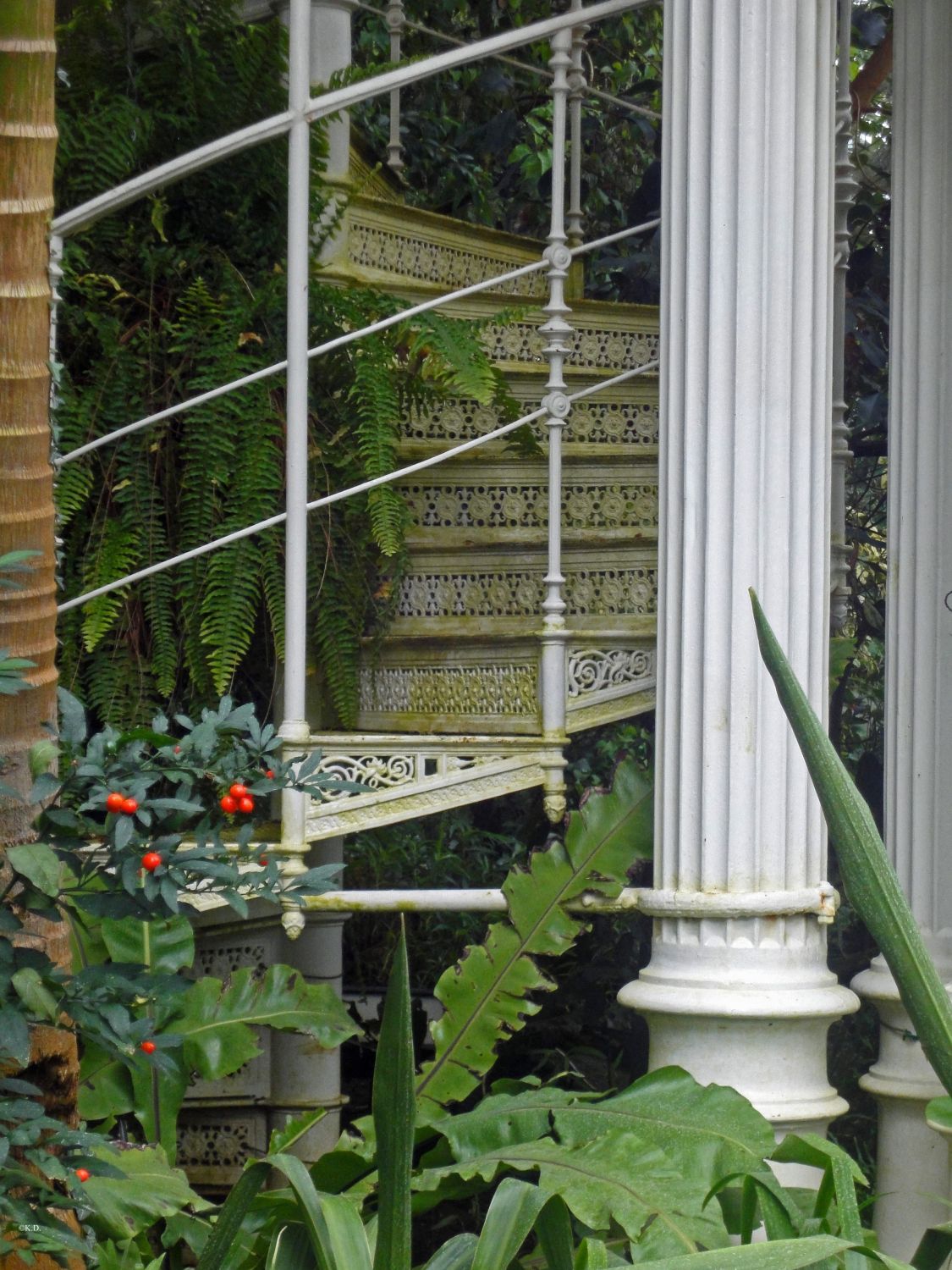 Palmenhaus Wien