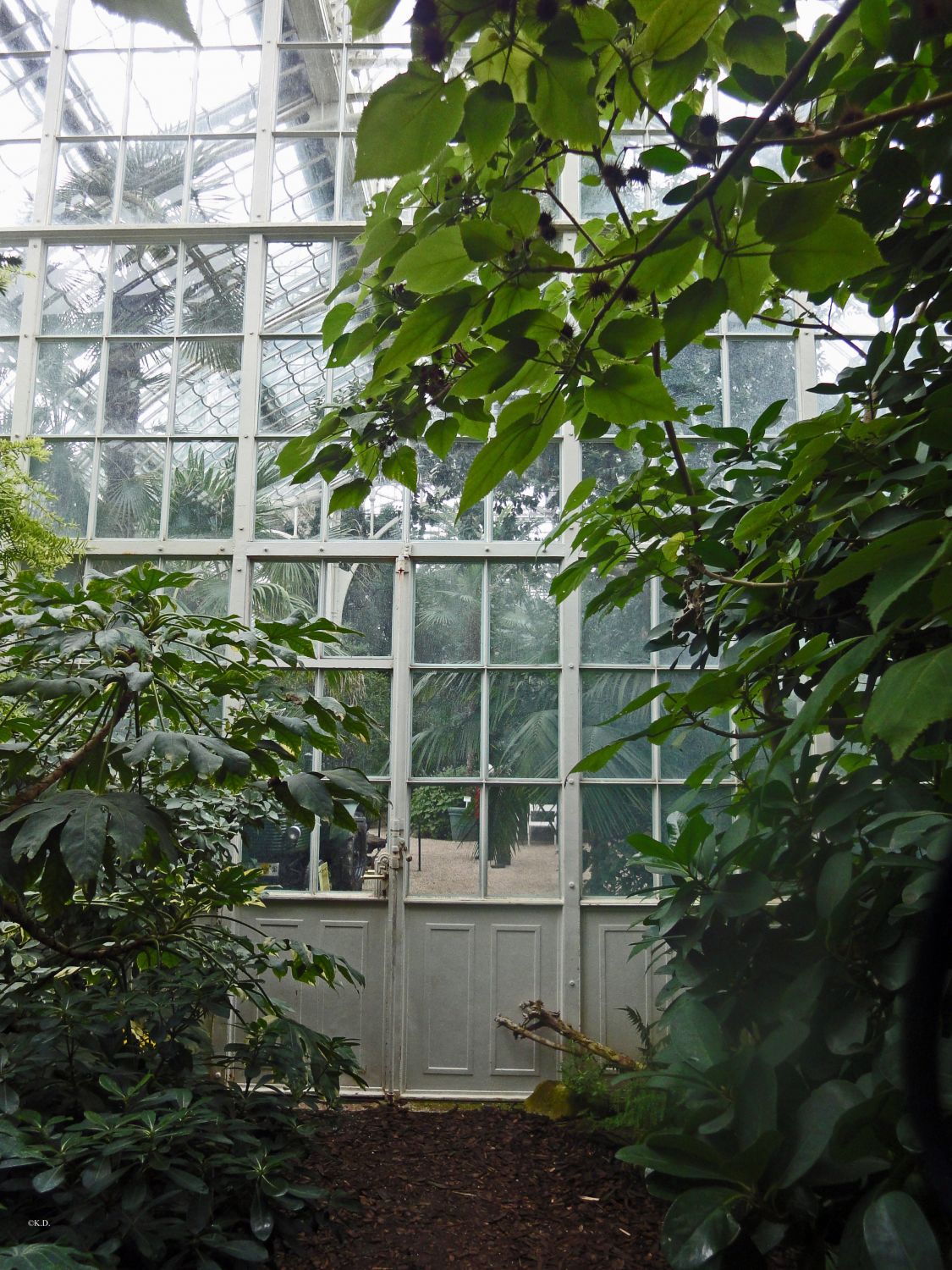 Palmenhaus Wien