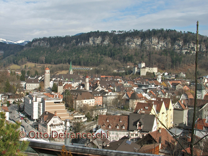 Panoramablick über Feldkirch