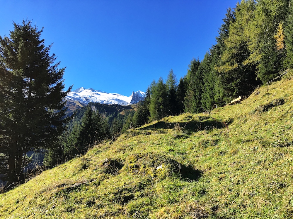 Paradiesweg von Hintertux nach Steinach/Mauern