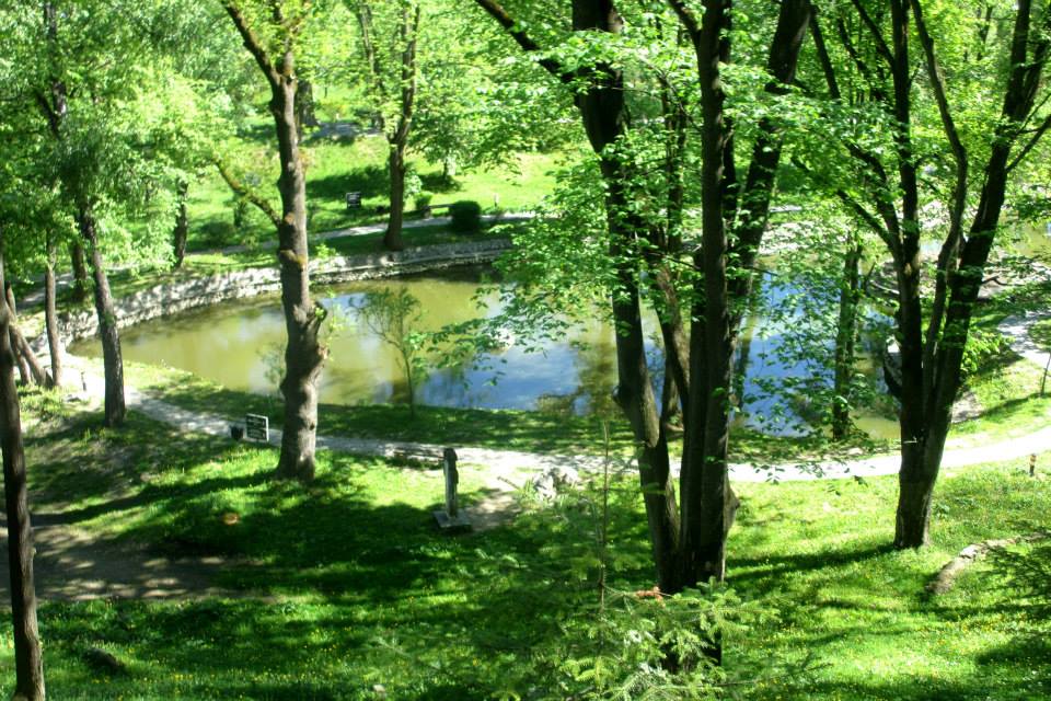 Park beim Teehaus, Schloss Bran