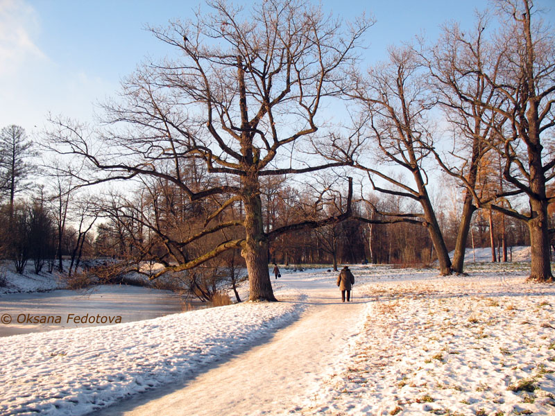 Park in Puschkin