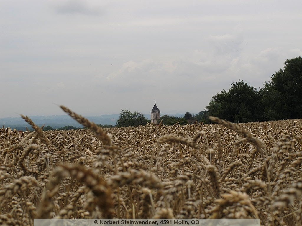 Pfarrkirche St. Peter und Paul in Erla - Ehem. Benediktinerinnenklosterkirc