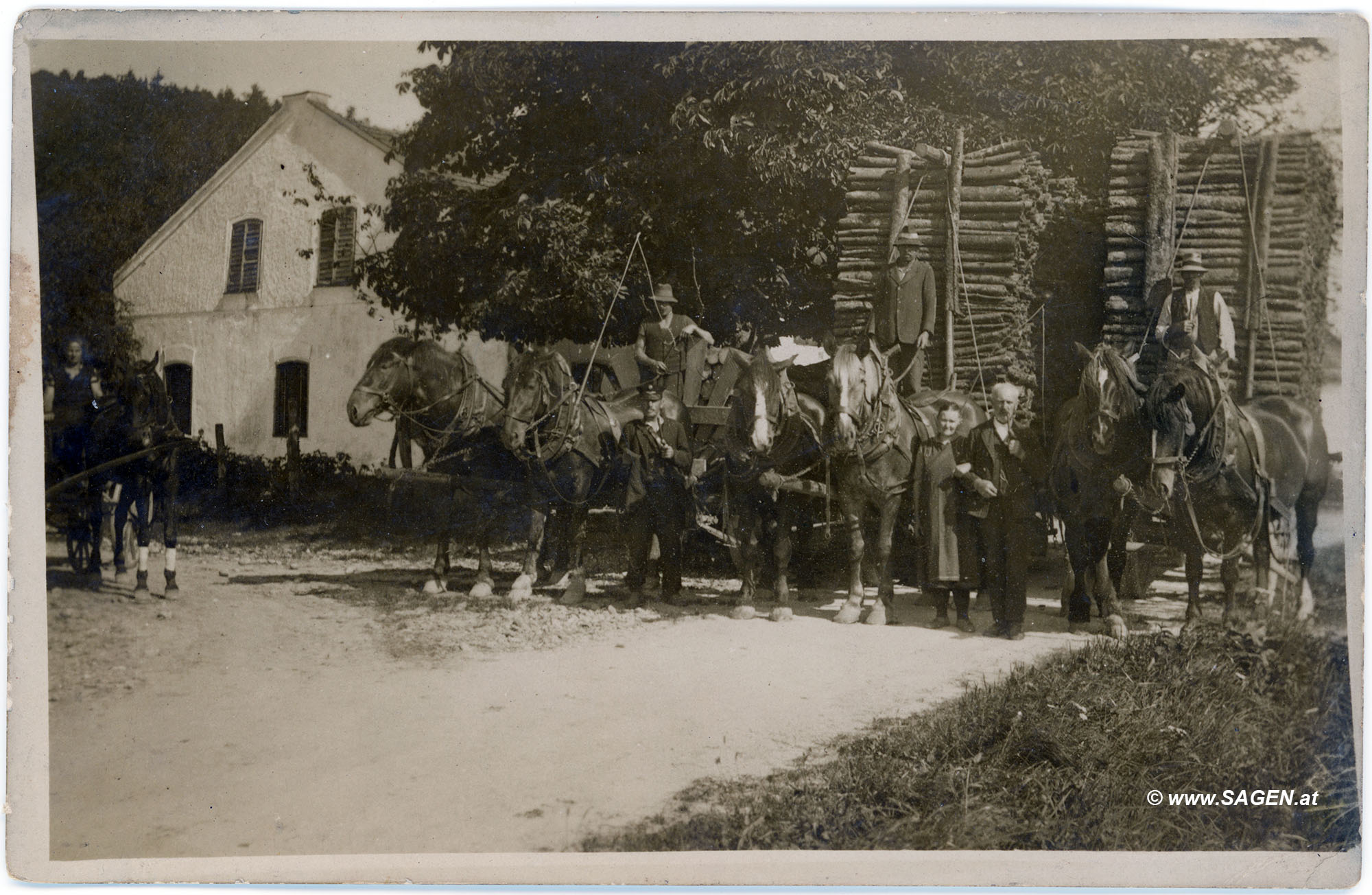 Pferdefuhrwerke mit Holz um 1926